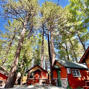 The Village Cabins