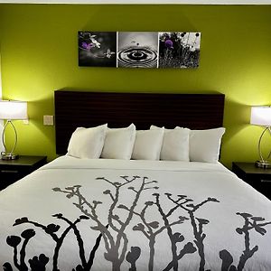 King Room Mobility accessible