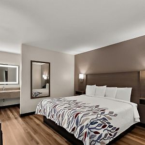 Standard First Floor King Room