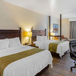 Queen Suite