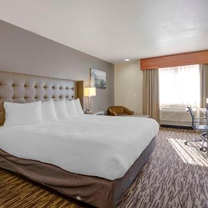 King Room Mobility accessible