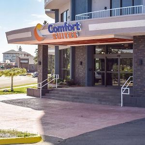 Comfort Suites Idaho Falls
