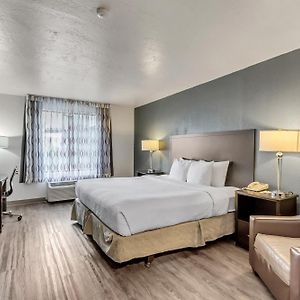 Efficiency Suite
