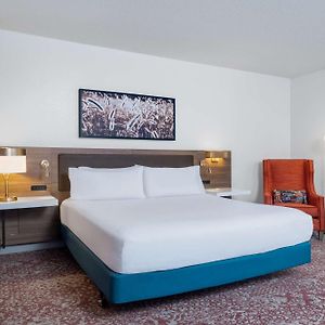 King Room Mobility accessible