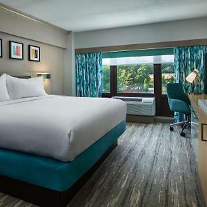 King Room Mobility accessible