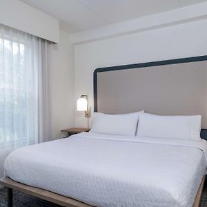 One-Bedroom King Suite