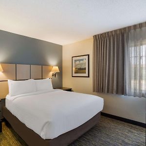 One-Bedroom Queen Suite