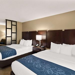 Queen Suite