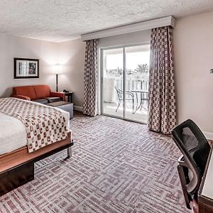 Large King Room