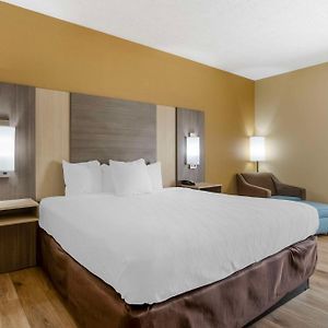 King Room Disability Access