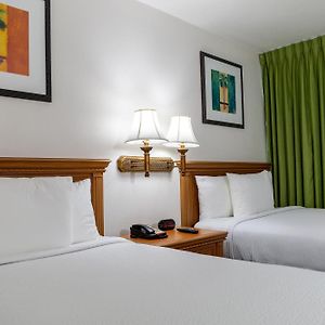 Mini Suite