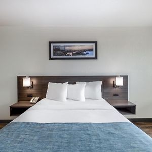 Queen Room Mobility or hearing accessible