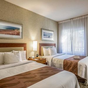 Standard Suite