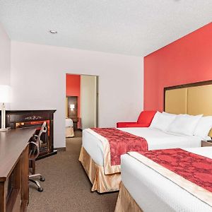 Queen Suite