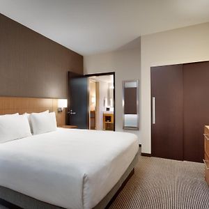 One-Bedroom King Suite