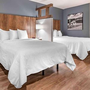 Studio 2 Double Beds Non-Smoking