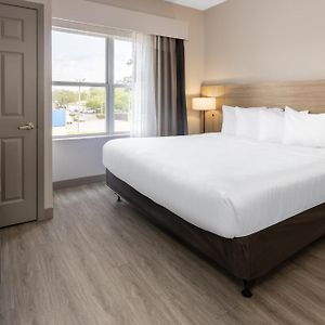 One-Bedroom King Suite