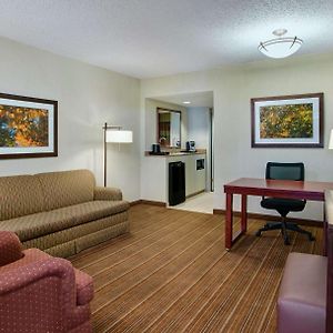 Premium One-Bedroom Suite