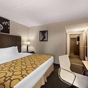 One-Bedroom King Suite