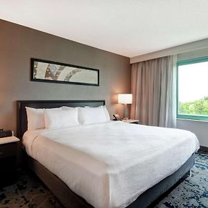 Two Room King Suite