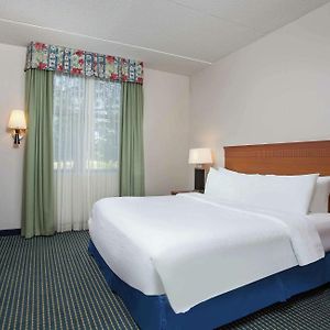 Premium King Suite