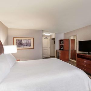 Evolution King Room
