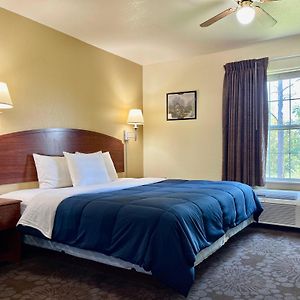 One-Bedroom King Suite