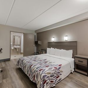 Deluxe  King Room Disability Access