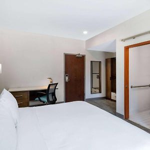 One-Bedroom King Suite
