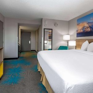 King Room Disability Access