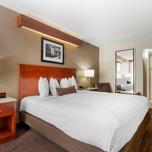 Standard King Room Disability Access