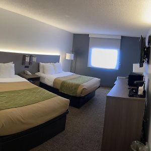 Standard Queen Room