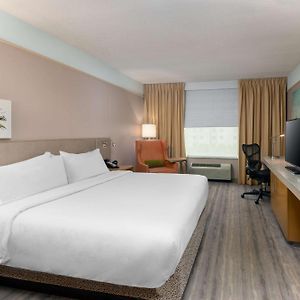 King Room Mobility accessible