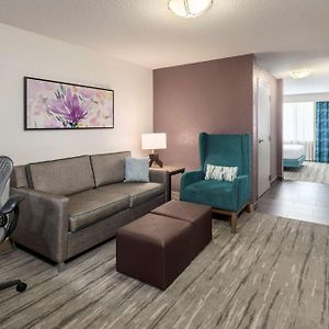 One-Bedroom King Suite