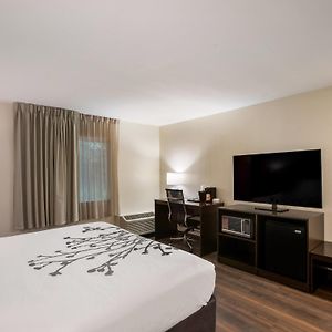 King Room Disability Access