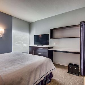 Studio Suite