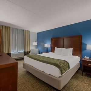 King Room Mobility accessible
