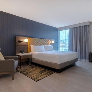 Two Room King Suite