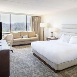King Room Mobility accessible