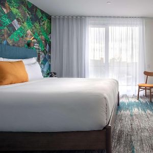 Two Room King Suite