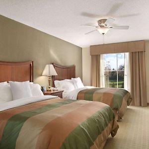 Queen Suite