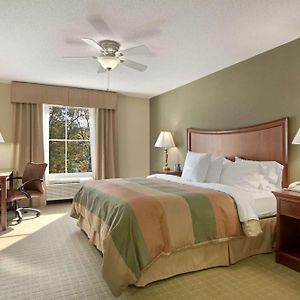 One-Bedroom King Suite