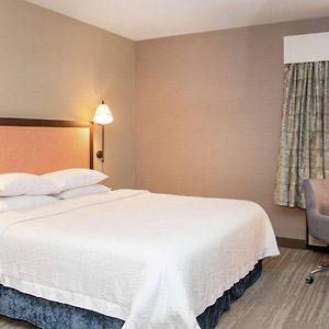 King Room Mobility accessible