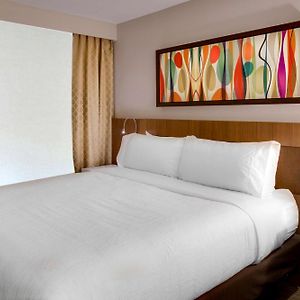 One-Bedroom King Suite