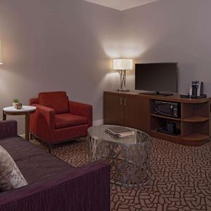 One-Bedroom King Suite