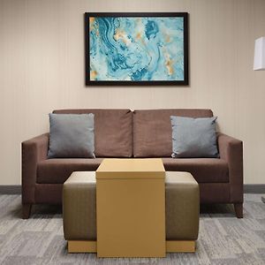 One-Bedroom King Suite