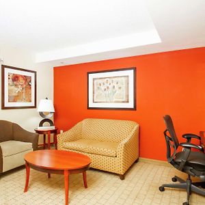 One-Bedroom King Suite