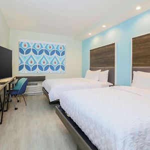 Queen Room Mobility accessible