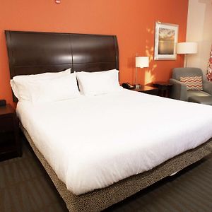 One-Bedroom King Suite