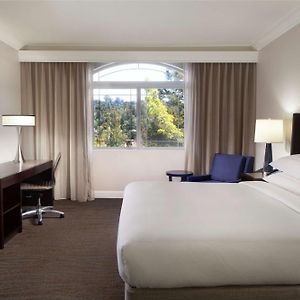 One-Bedroom King Suite